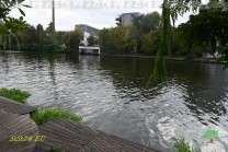 Der Blick über die Spree zeigt den Gegensatz zwischen Ufergrün und Berliner Bebauung. (Bild: Natalia Siedler)